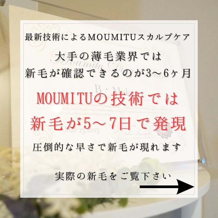 画像259