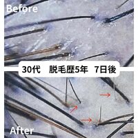 画像260
