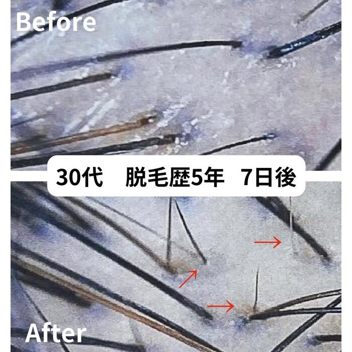 画像260