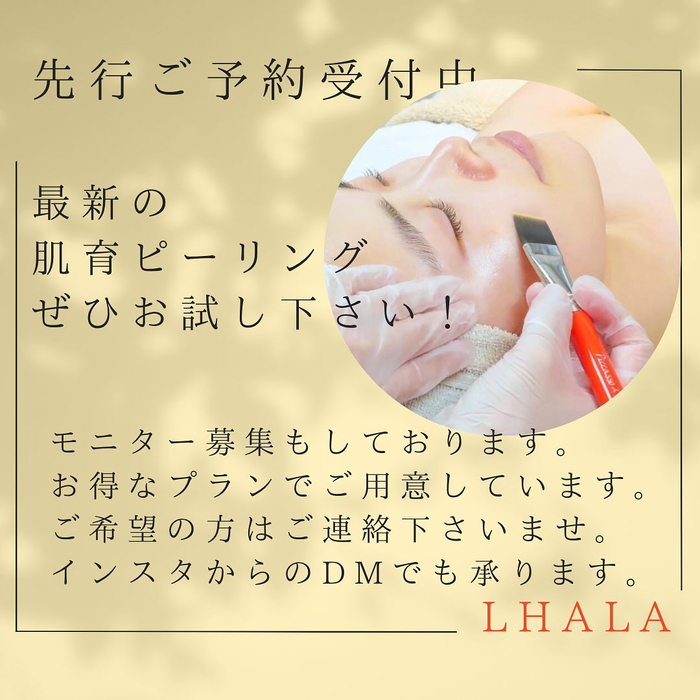 画像442
